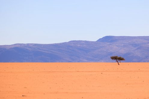 Opuwo – Palmwag par Purros, oui c&rsquo;est bien la Terre!